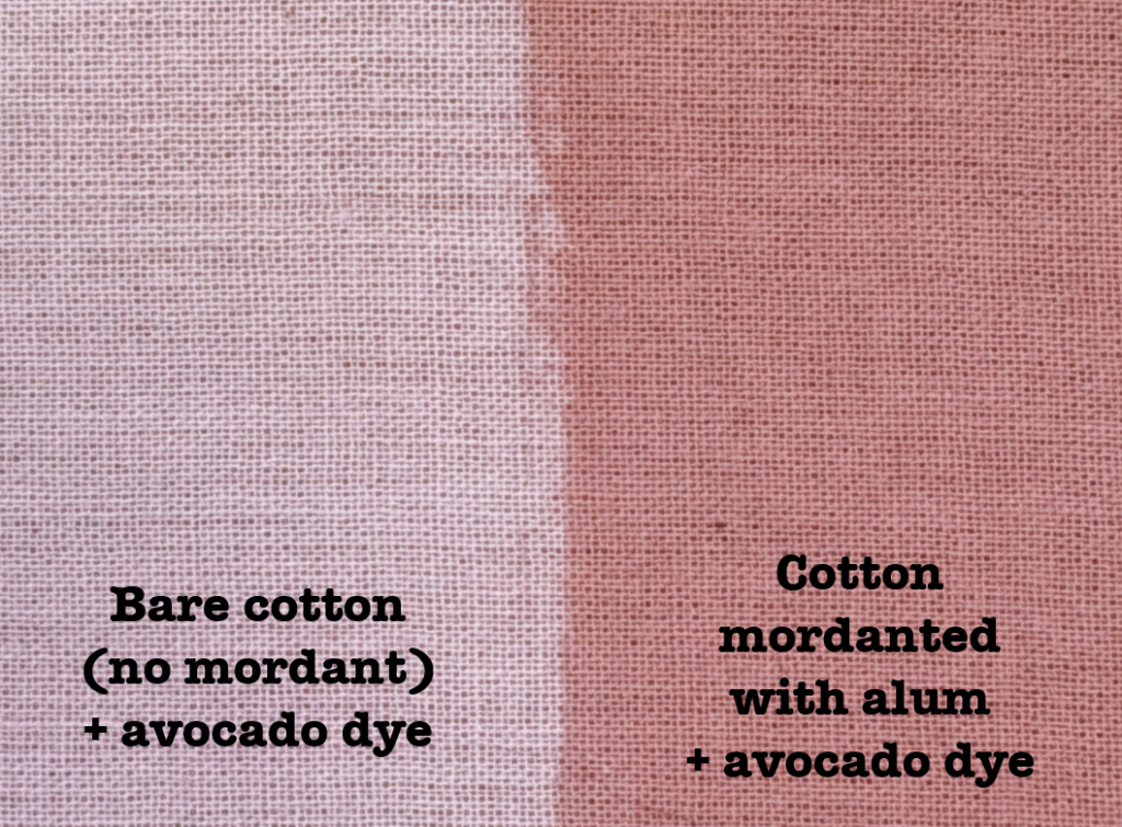 Photo of Sophy's cotton dyed with avocado dye without (pink) and with mordant (darker salmon red).