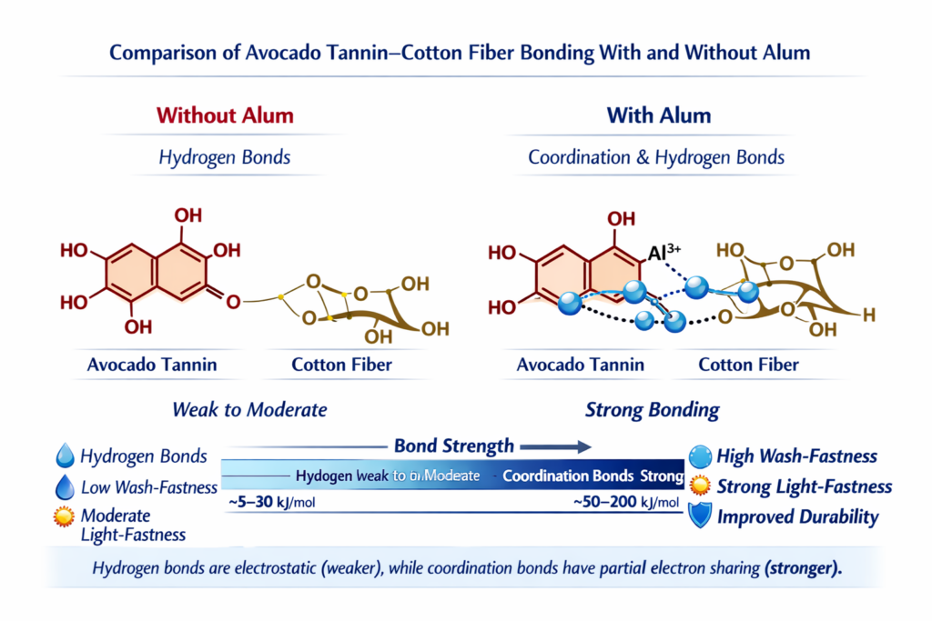 Diagram showing avocado tannin dye without and with alum mordant. Diagram made with the help of Co-Pilot AI. 