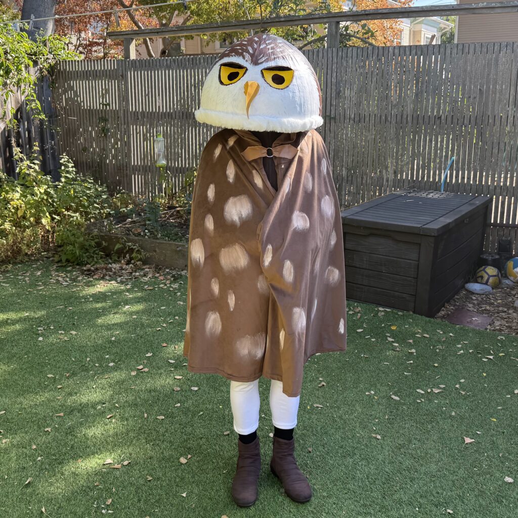 Sophy's DIY burrowing owl costume, Oct 2026