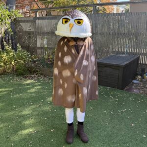 Sophy's DIY burrowing owl costume, Oct 2026